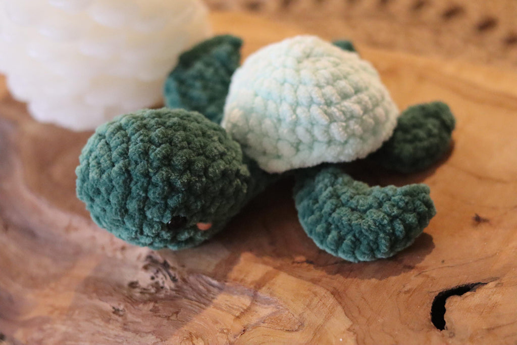 Tortue