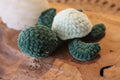 Tortue