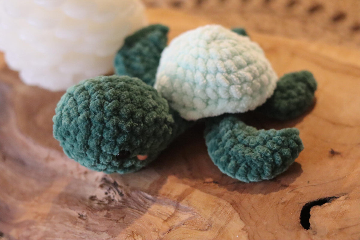 Tortue