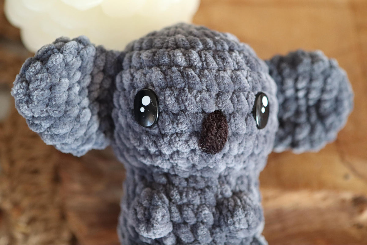 Petit Koala