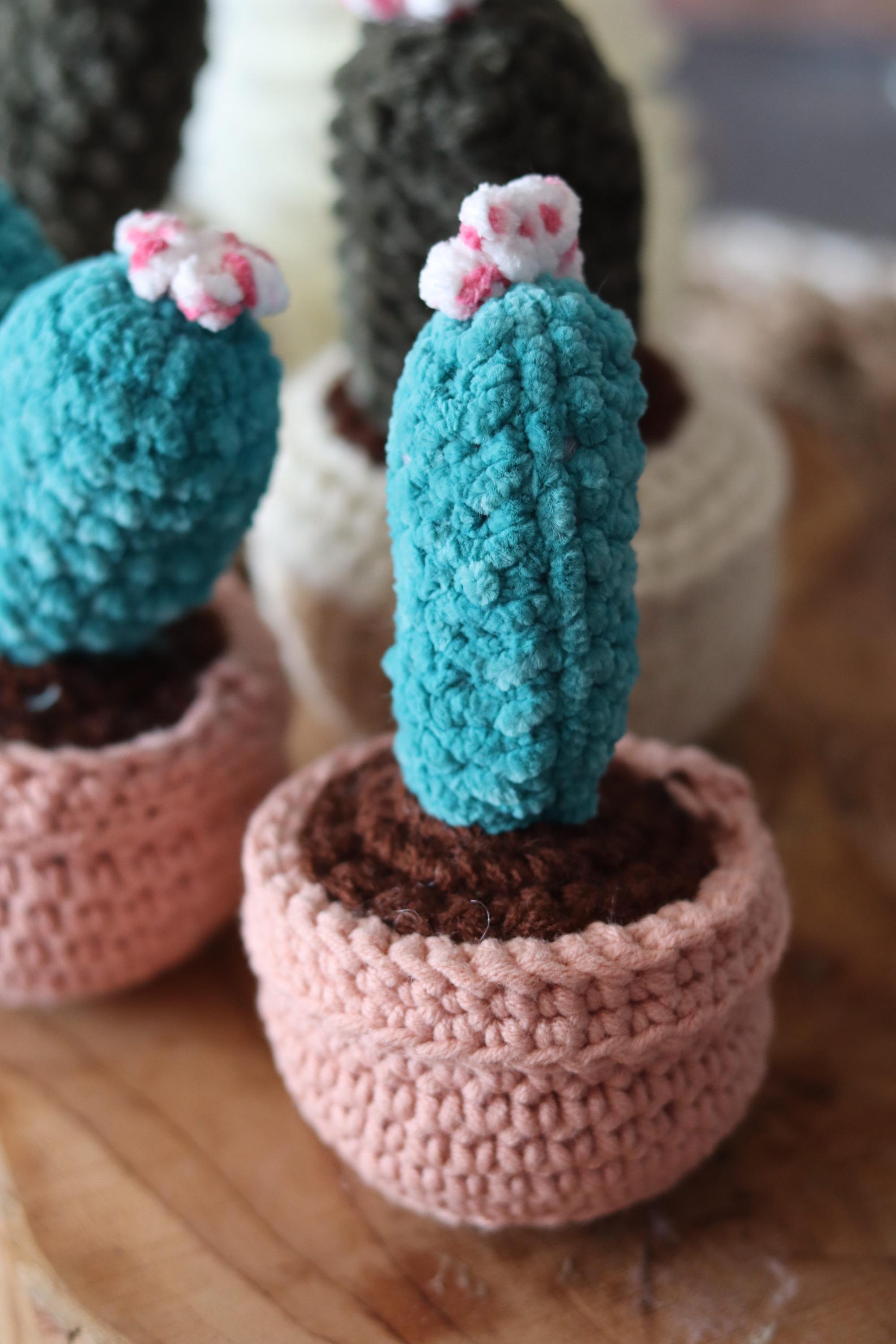 Cactus