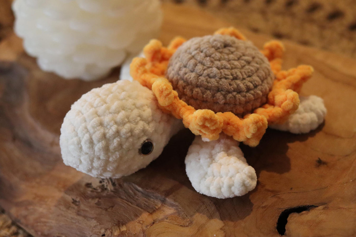 Tortue