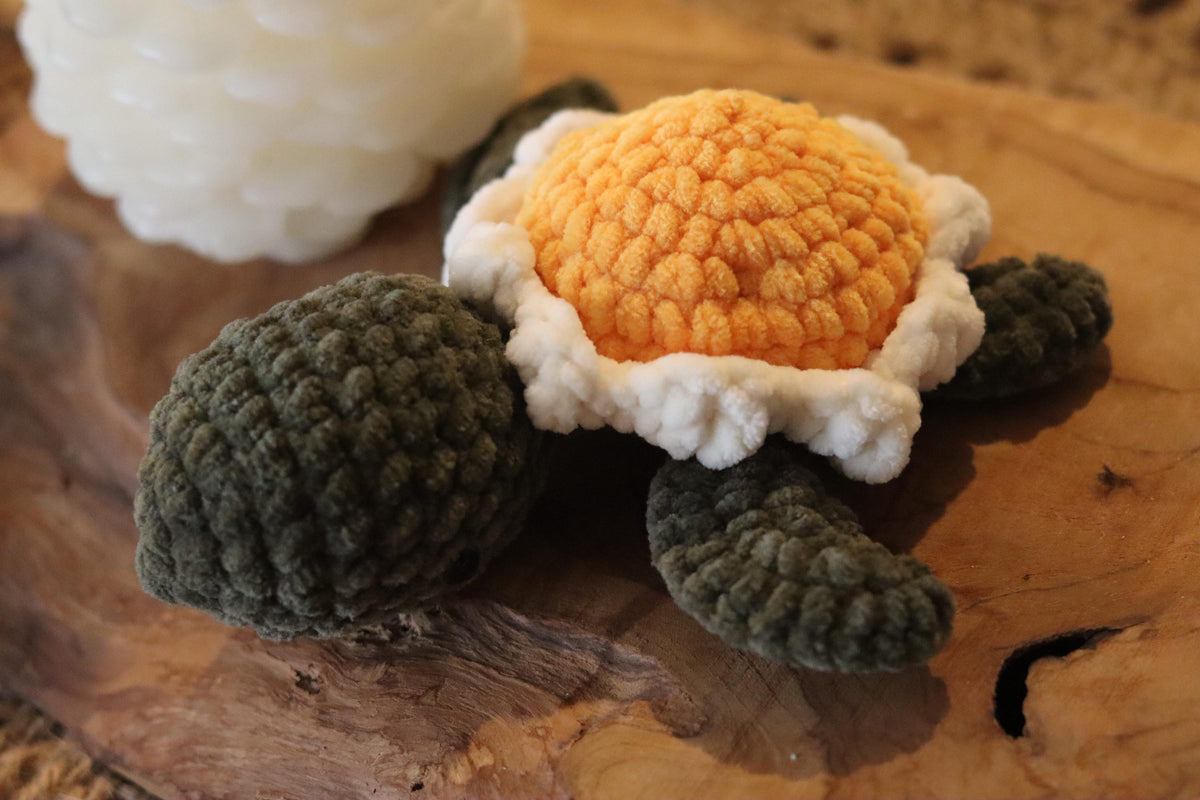Tortue