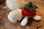 Tortue