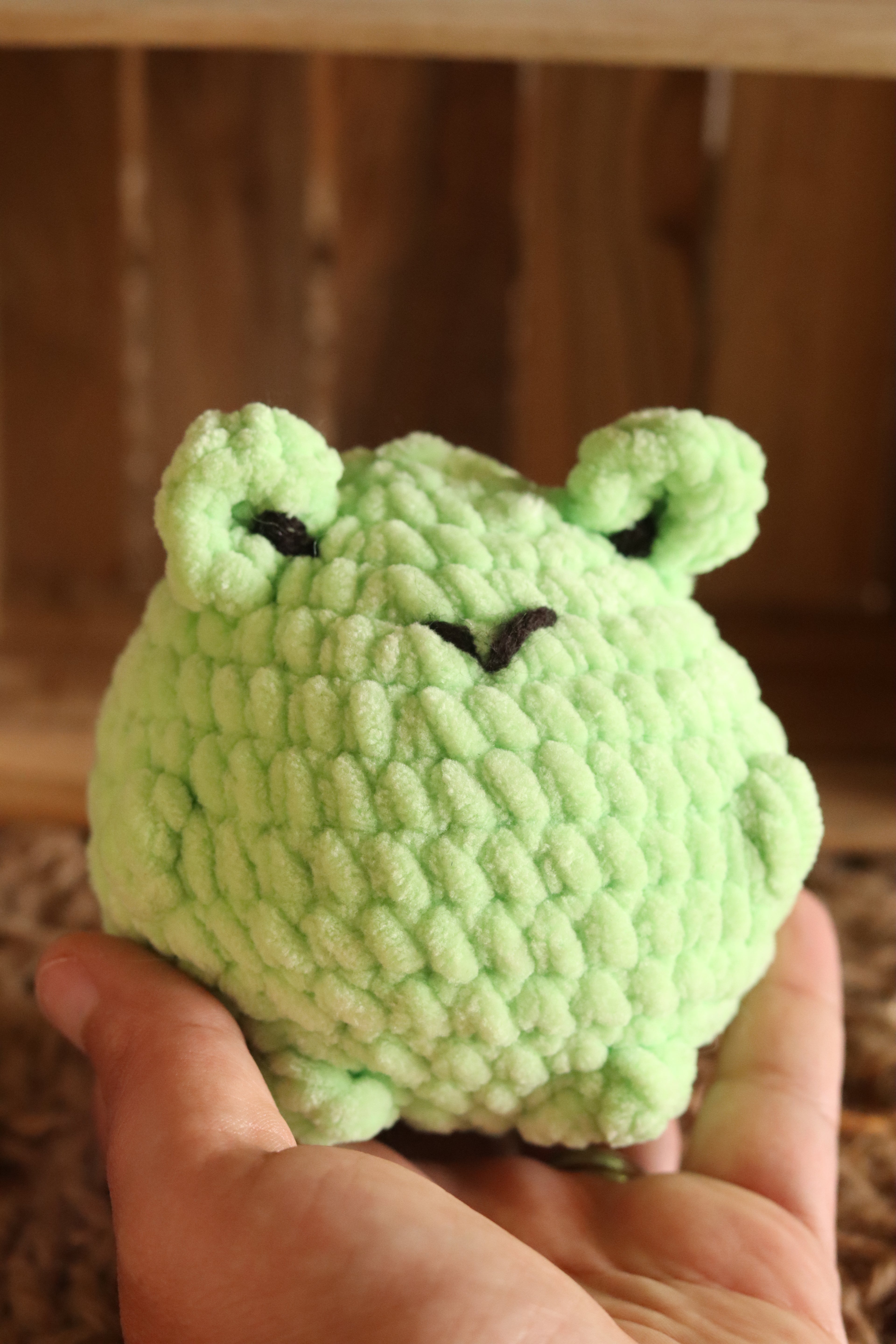 Grenouille Prototype – Création Unique