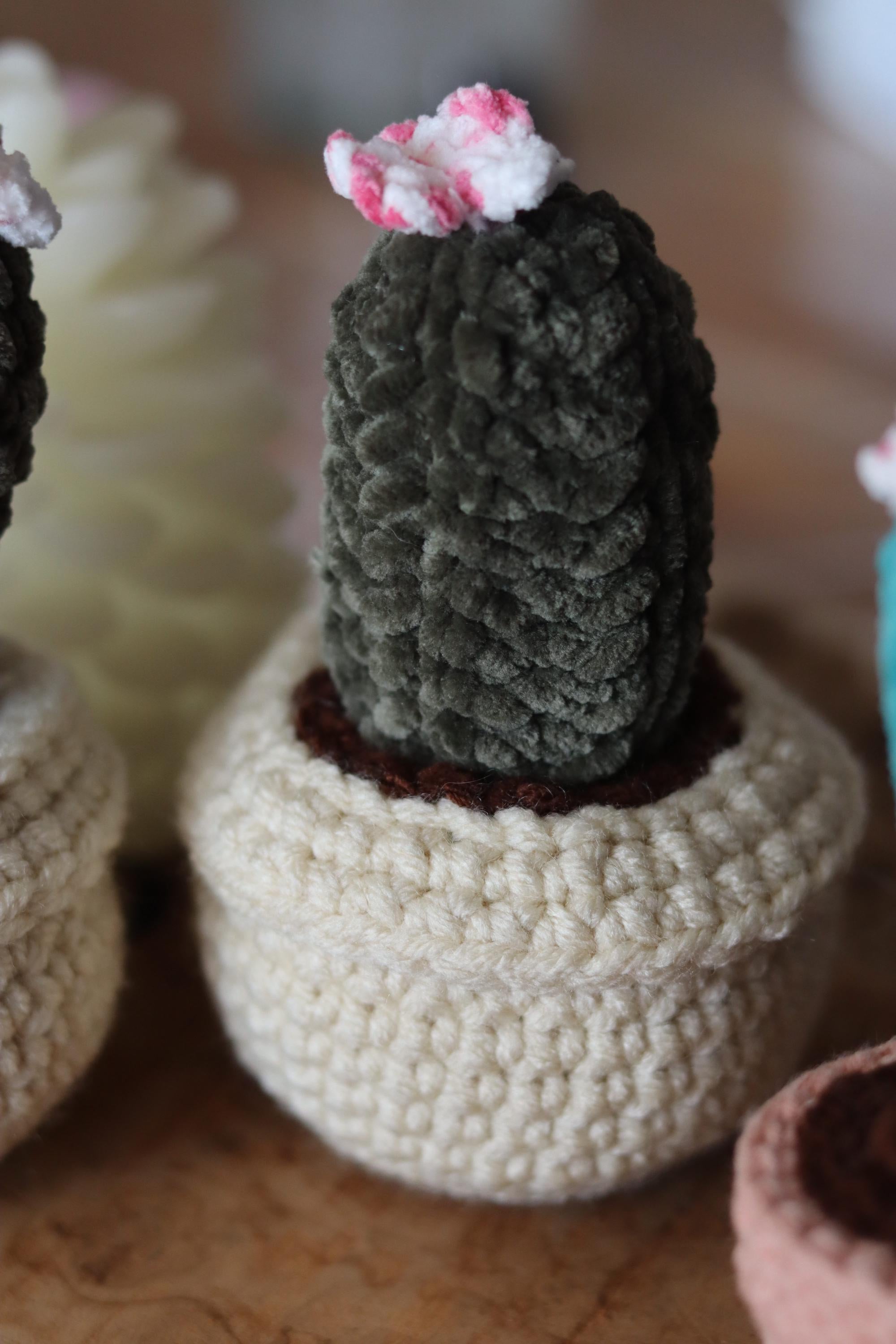 Cactus